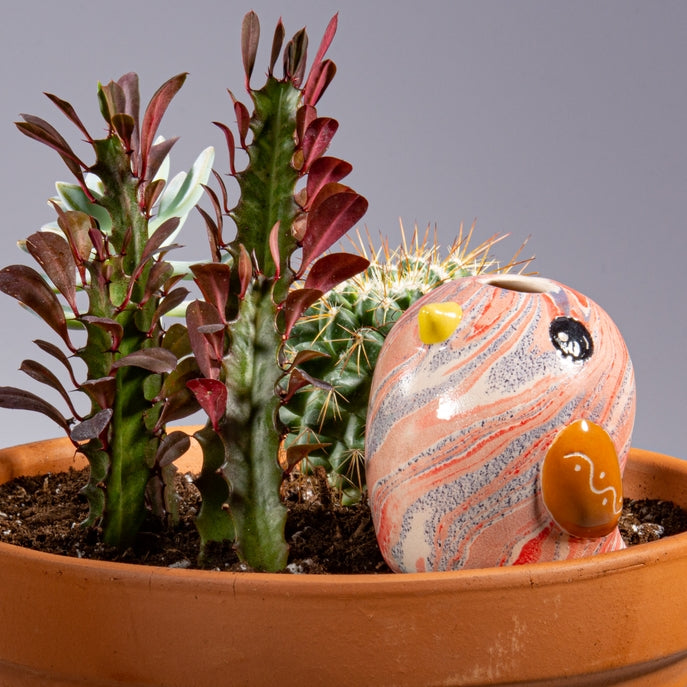 Ceramic Marbled Bird Plant Dripper