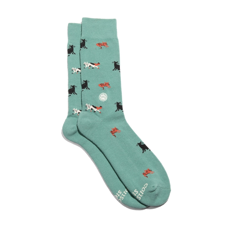 Socks That Save Cats (Teal Cats)