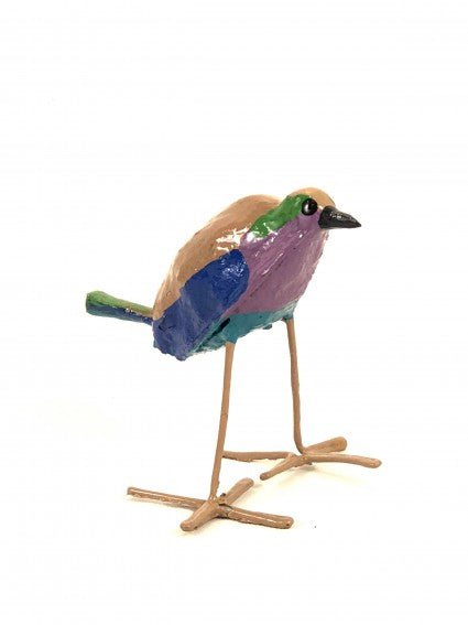 Roller Seedpod Bird