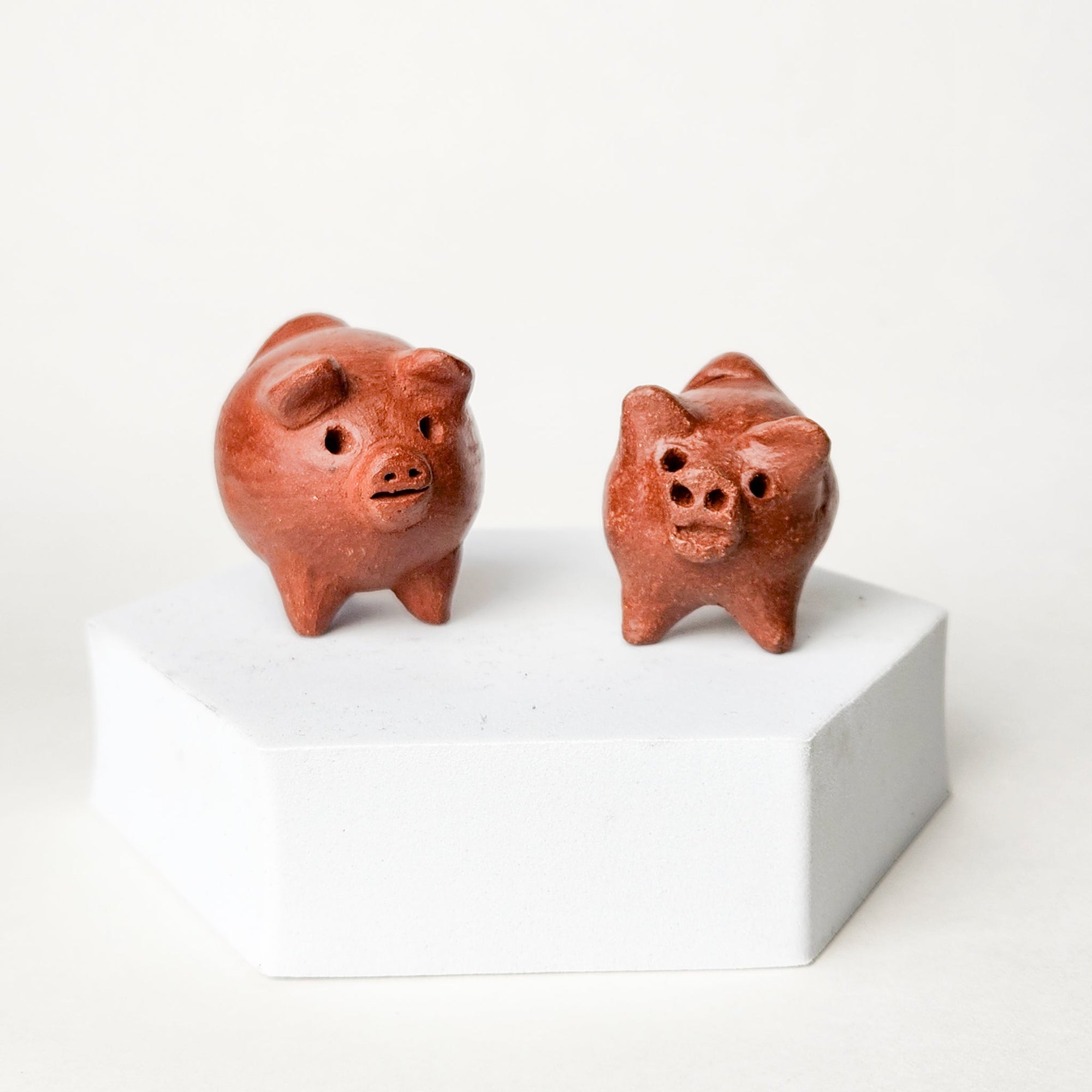 Miniature Chilean Chanchito Three-Legged Pig - Alternatives Global Marketplace